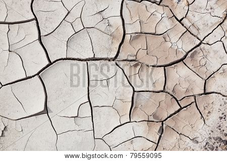 Dry Cracked Earth
