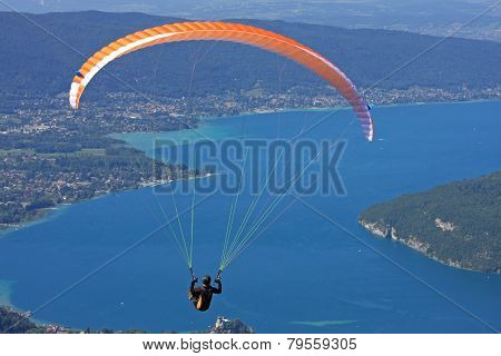 Paraglider