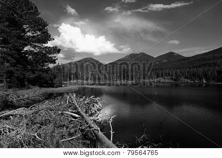 Lake In Rocky Mountains
