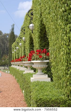 Bahai Garden