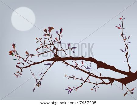 Ramo dell'albero