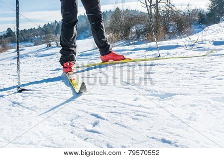 Cross Country Skiing