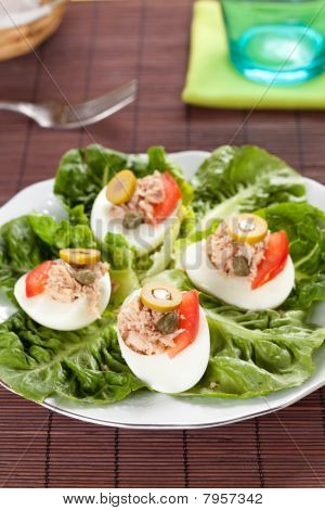 沙拉盘 letuce 鸡蛋金枪鱼和橄榄