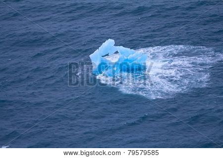 Arctic Iceberg. Area Novaya Zemlya