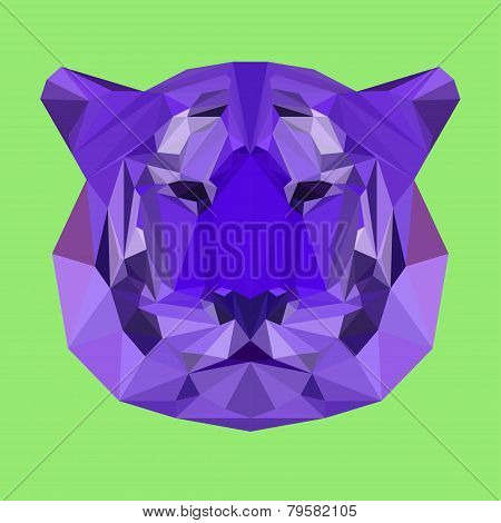 Bright Colored Polygonal Geometric Triangle Abstract Tiger Background