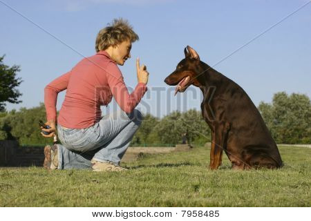 Attenzione per cane