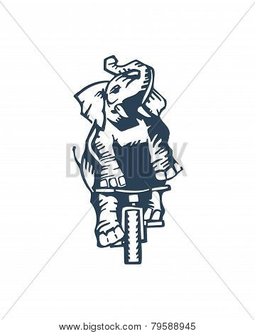 Elephant on a bicycle