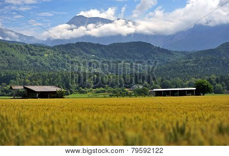 Gorenjska landscape, Slovenia