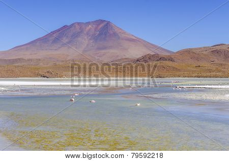 Bolivia, Antiplano - Canapa Lake