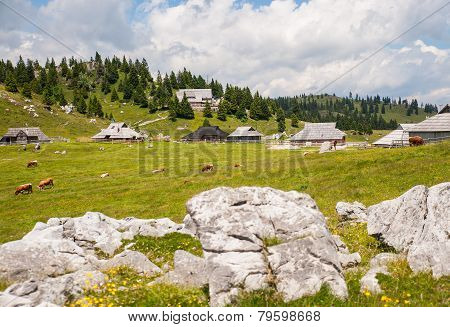 Velika planina, Slovenia