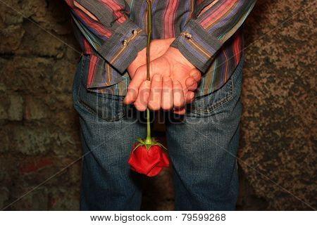 Man Holding A Red Rose