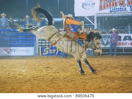 Clark County Fair And Rodeo