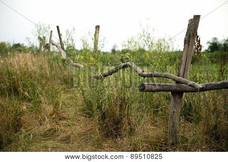 Fence On A Heathland