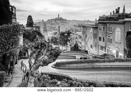 Famous Lombard Street In San Francisco