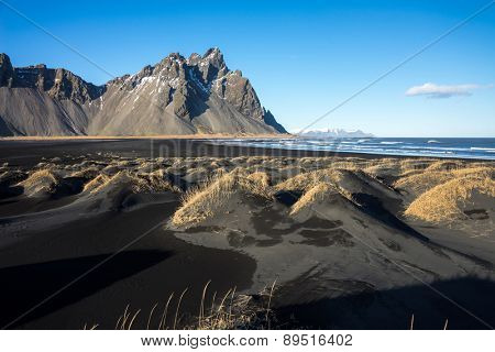 Mountains and volcanic lava sand dunes by the sea in Stokksness, Iceland. The brown bushes are lavender plants desiccated in the winter but will flourish and bloom when spring comes.