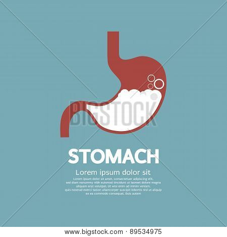 Flat Design Human's Stomach Graphic.