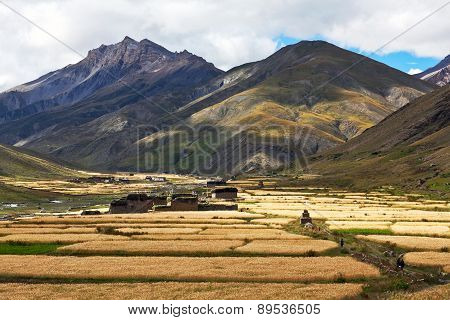 Dho Tarap Village, Dolpo, Nepal.