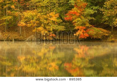 Stagno di autunno