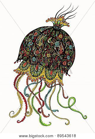 Ornate Jellyfish