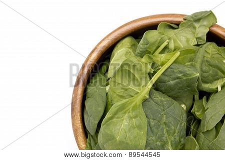 Green Spinach Leave