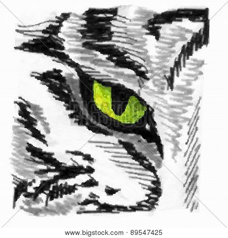 Tiger Eye Sketch