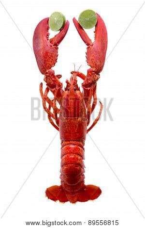 Cooked Red Lobster Clipping Lime Slices On White