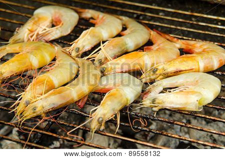 Shrimp Grill