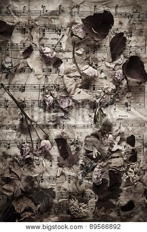 Dry Roses On Vintage Paper Background
