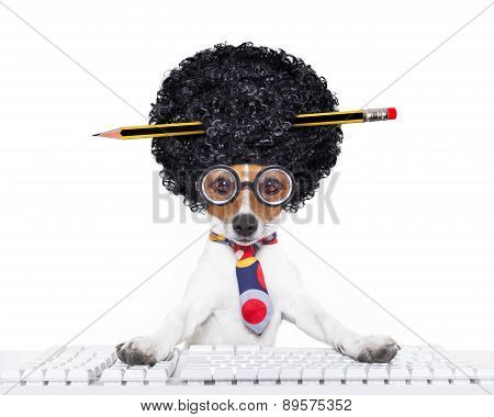 Secretary Dog