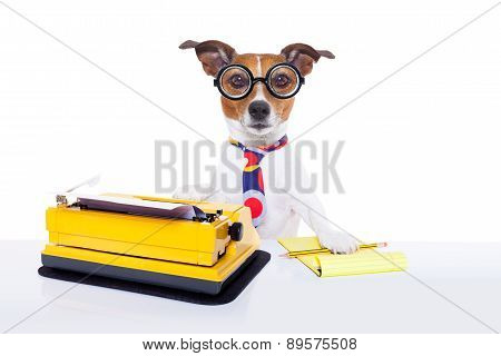 Secretary Typewriter  Dog