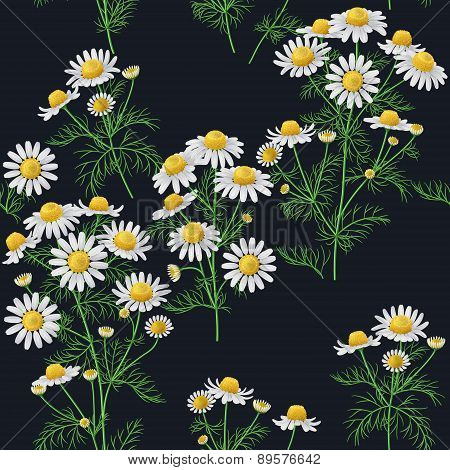 Wild Chamomile Pattern.