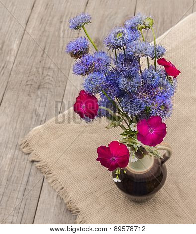 Bouquet Of Blue Globular (globularia) Flowers