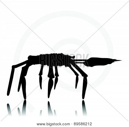 Crab Silhouette