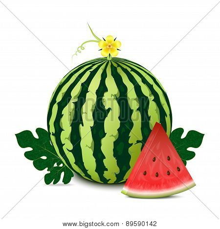 watermelon and slice