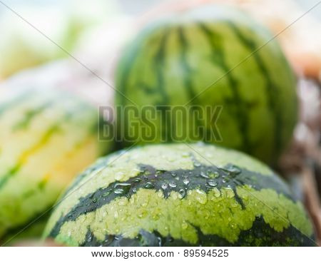 watermelon market fruit
