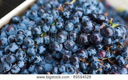 grapes on the international market