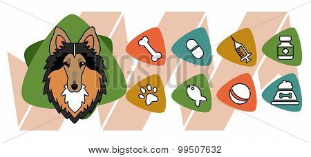 Veterinary Icons Depicting Collie