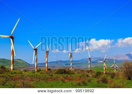 Flowering Golan Heights on a sunny day. Several huge modern windmills on background snowy Hermon. Galilee, Israel