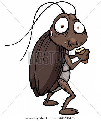 Cockroach