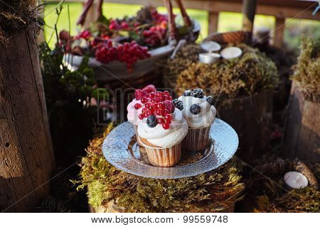 Forest Candy bar, decorated with fresh berries delicious cakes. Wedding decor decorations for weddin