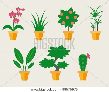 Flat style Houseplants