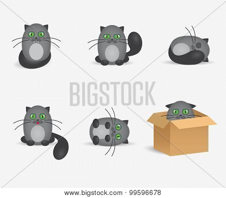 Set of cute gray cats with geen eyes