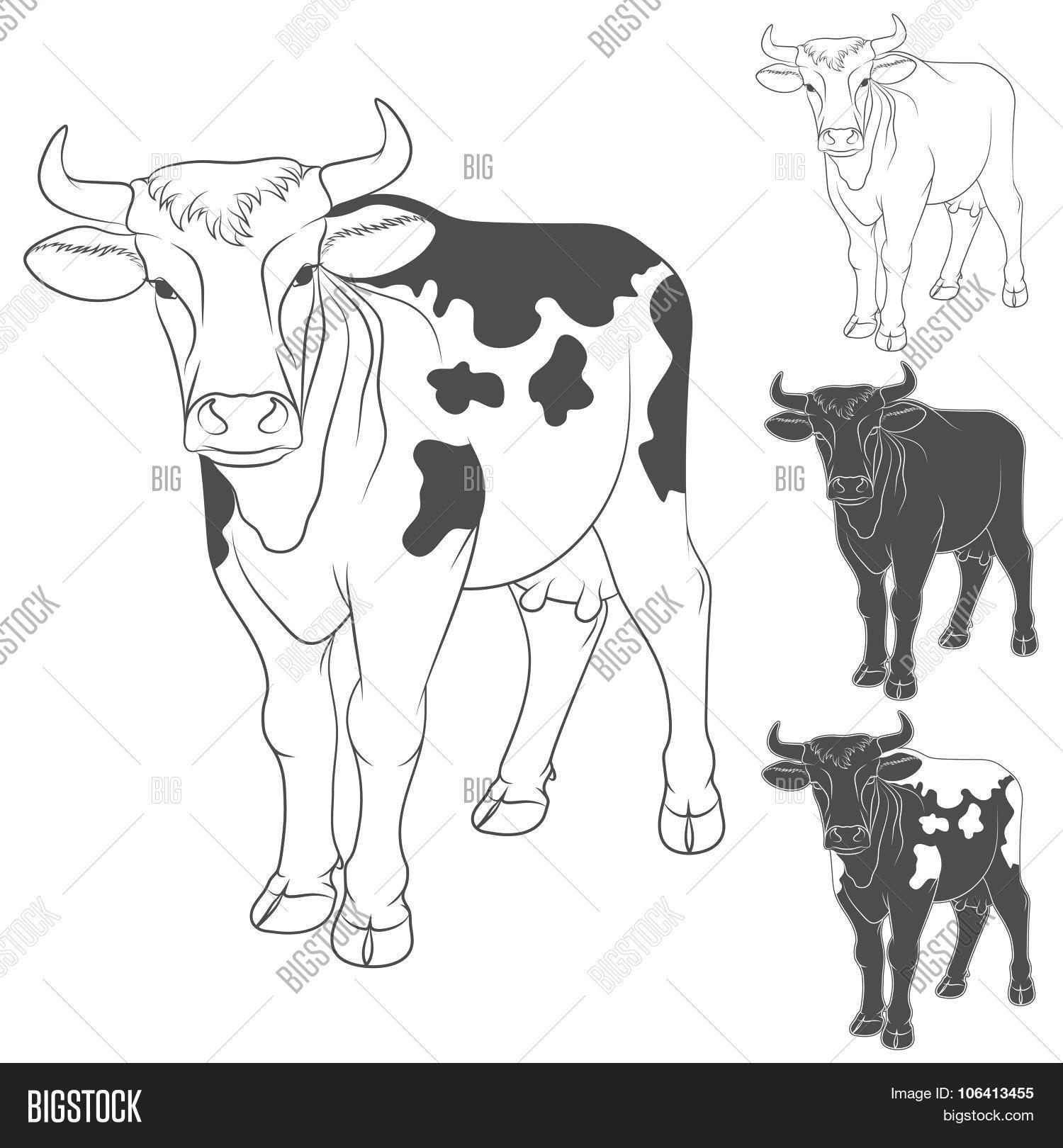 Vector Black White Vector & Photo (Free Trial) Bigstock