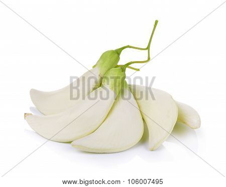 White Agasta ,thai Vegetable On White Background