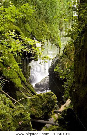 Bellezza verde
