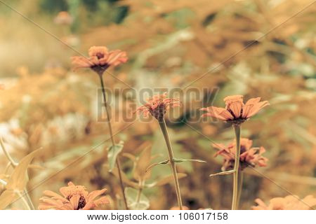 Retro Flowers Background