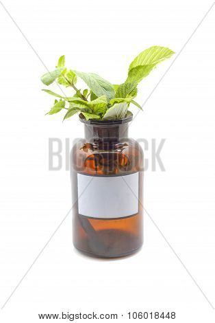 Herbal Therapy
