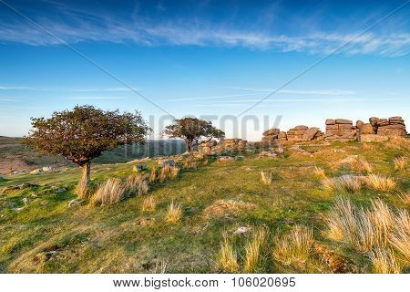 Coombestone Tor