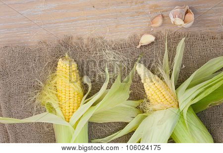 Corn Cobs On A Sackcloth