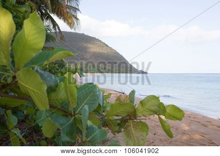 Beach of Grande Anse, Deshaies, Guadeloupe